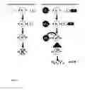 Fig. 03 - CONJUGATED VACCINE
