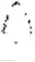 Fig. 05 - Immunogenic composition in emulsion form comprising two dispersed phases, one comprising an antigen and the other comprising an immunostimulating agent