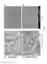 Fig. 07 - Photoactivatable lipid-based nanoparticles as vehicles for dual agent delivery