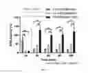 Fig. 10 - Polymers for delivery of factor VIII and/or factor IX