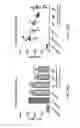 Fig. 18 - Structure, manufacturing and uses of human-derived cell-permeable peptides conjugated with specific biologically active cargo peptides