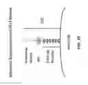 Fig. 07 - Methods of making DLL3 antibody drug conjugates