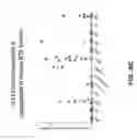 Fig. 20 - Methods of making DLL3 antibody drug conjugates