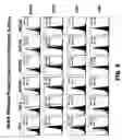 Fig. 21 - Methods of making DLL3 antibody drug conjugates