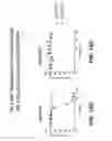 Fig. 49 - Methods of making DLL3 antibody drug conjugates