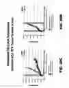 Fig. 52 - Methods of making DLL3 antibody drug conjugates