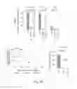 Fig. 04 - Targeting ABCB5 for cancer therapy