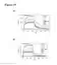 Fig. 20 - Glycoengineered antibody drug conjugates
