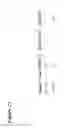 Fig. 23 - Glycoengineered antibody drug conjugates