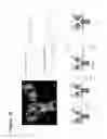 Fig. 32 - Glycoengineered antibody drug conjugates
