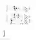 Fig. 63 - Glycoengineered antibody drug conjugates