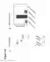 Fig. 66 - Glycoengineered antibody drug conjugates
