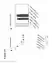 Fig. 69 - Glycoengineered antibody drug conjugates