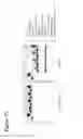 Fig. 79 - Glycoengineered antibody drug conjugates