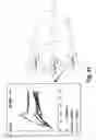 Fig. 83 - Glycoengineered antibody drug conjugates