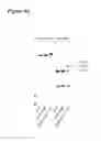 Fig. 95 - Glycoengineered antibody drug conjugates