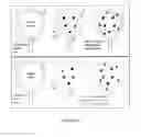 Fig. 04 - SYSTEMS AND METHODS OF DETECTING INTERSTITIAL CYSTITIS