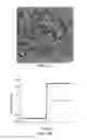 Fig. 03 - NANOPARTICLES FOR MAGNETIC PARTICLE IMAGING APPLICATIONS