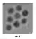 Fig. 04 - NANOPARTICLES FOR MAGNETIC PARTICLE IMAGING APPLICATIONS