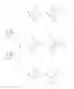 Fig. 09 - Bifunctional chelating agents based on the 1,4-diazepine scaffold (DAZA) for non-invasive molecular imaging