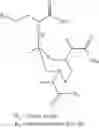 Fig. 13 - Bifunctional chelating agents based on the 1,4-diazepine scaffold (DAZA) for non-invasive molecular imaging