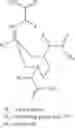 Fig. 17 - Bifunctional chelating agents based on the 1,4-diazepine scaffold (DAZA) for non-invasive molecular imaging