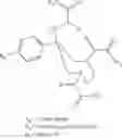 Fig. 22 - Bifunctional chelating agents based on the 1,4-diazepine scaffold (DAZA) for non-invasive molecular imaging
