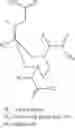 Fig. 26 - Bifunctional chelating agents based on the 1,4-diazepine scaffold (DAZA) for non-invasive molecular imaging