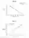 Fig. 06 - Gelatin sponge comprising an active ingredient, its preparation and use