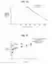 Fig. 08 - Gelatin sponge comprising an active ingredient, its preparation and use