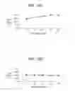 Fig. 10 - Gelatin sponge comprising an active ingredient, its preparation and use