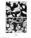 Fig. 05 - Moldable bone graft compositions