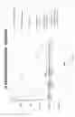 Fig. 14 - Moldable bone graft compositions