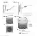 Fig. 02 - 3D tissue-engineered bone marrow for personalized therapy and drug development