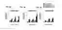 Fig. 05 - 3D tissue-engineered bone marrow for personalized therapy and drug development