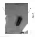 Fig. 08 - Shaped bone graft materials and methods of use