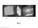 Fig. 02 - Three-Dimensional Scaffold Functionalized with Micro-Tissues for Tissue Regeneration
