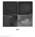 Fig. 03 - Three-Dimensional Scaffold Functionalized with Micro-Tissues for Tissue Regeneration