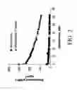 Fig. 04 - Process for the production of storable implants with an ultrahydrophilic surface