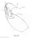 Fig. 17 - AUTOMATIC EXCREMENT PROCESSING DEVICE