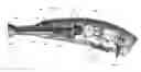 Fig. 01 - IRRIGATOR FOR WASHING WHILE SURGERY OPERATION