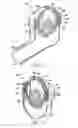 Fig. 08 - Oscillating positive expiratory pressure device