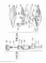 Fig. 20 - Breathing apparatus and method for the use thereof