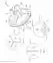 Fig. 21 - Filtration unit useable in a respiratory therapy device