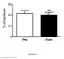 Fig. 41 - Bioceramic compositions and biomodulatory uses thereof