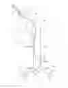 Fig. 01 - Guiding catheter for renal artery and method for using the same