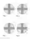 Fig. 03 - Drug delivery system for one or more active ingredients