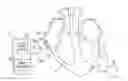 Fig. 01 - ELECTRICAL MUSCLE CONTROLLER