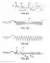 Fig. 07 - Method of treating a neurological disorder using network stimulation