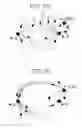 Fig. 11 - Animal and plant cell electric stimulator with randomized spatial distribution of electrodes for both electric field shaping and for current injection